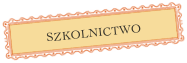 SZKOLNICTWO


