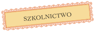 SZKOLNICTWO


